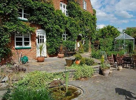 Old Ivy House Bed & Breakfast Nuneaton Eksteriør billede